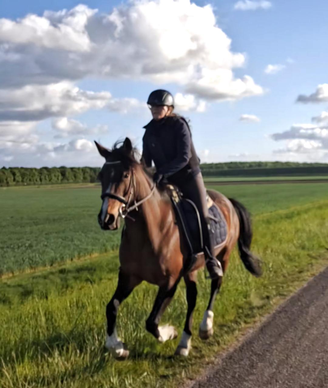 Pony talentvol en energiek, merrie 11jr, 145