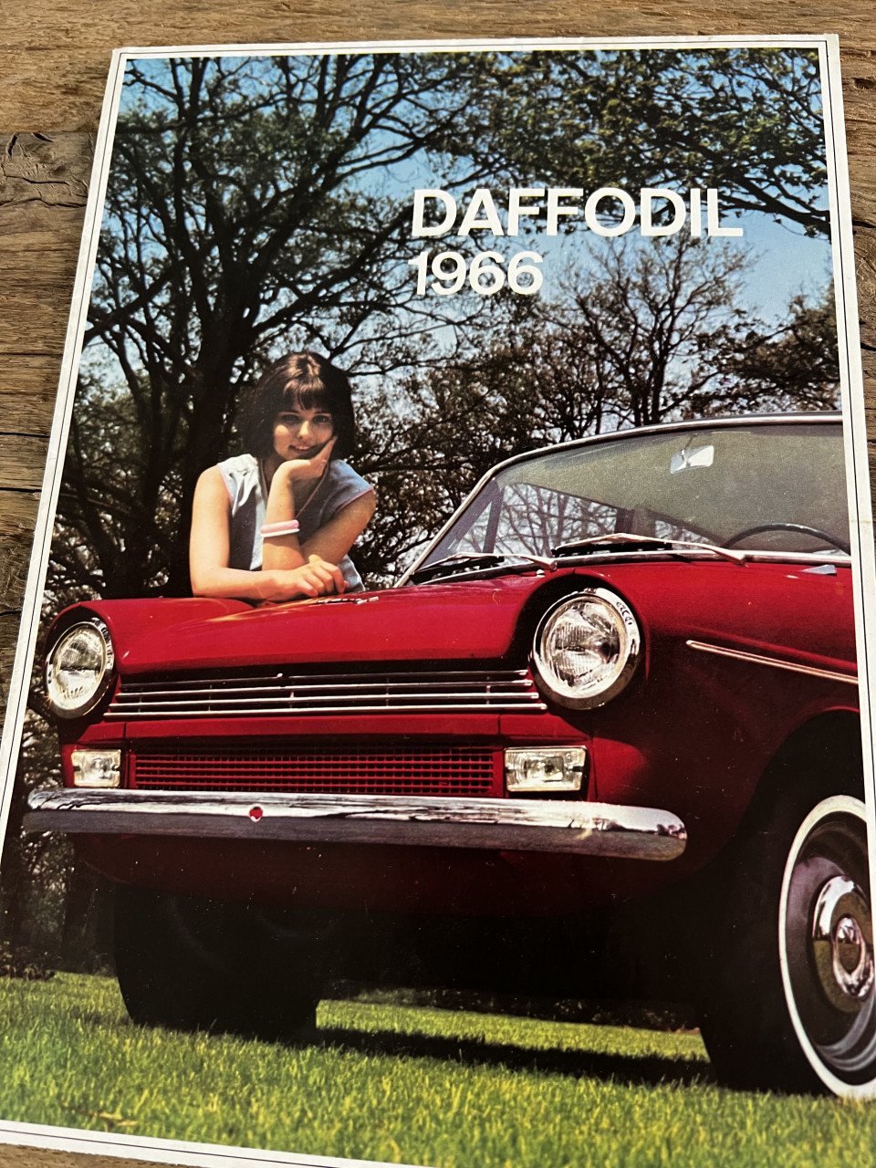 Daffodil 1966