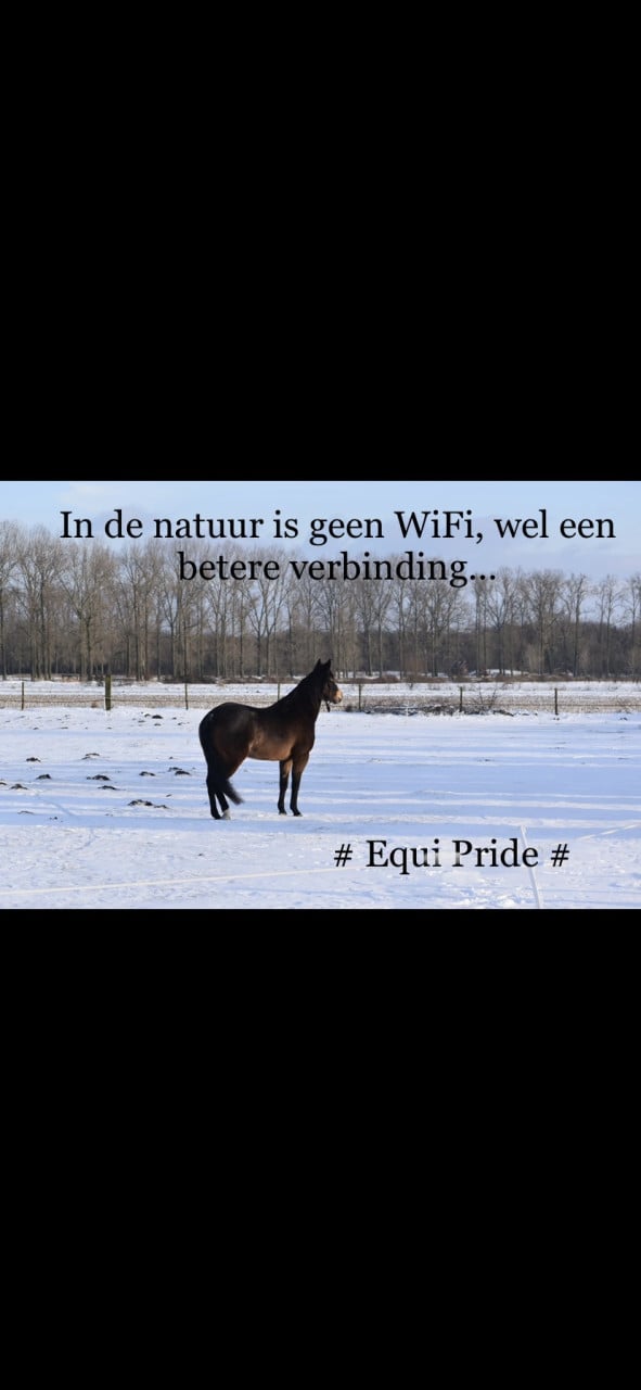#Equi Pride# rust en ontspanning voor jouw en je paard?