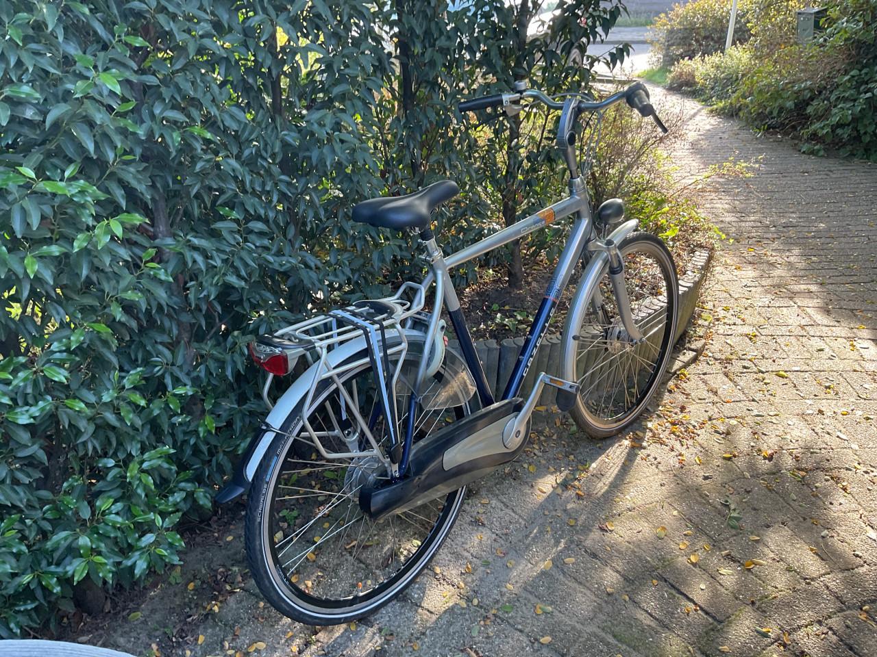 Gazelle Orange