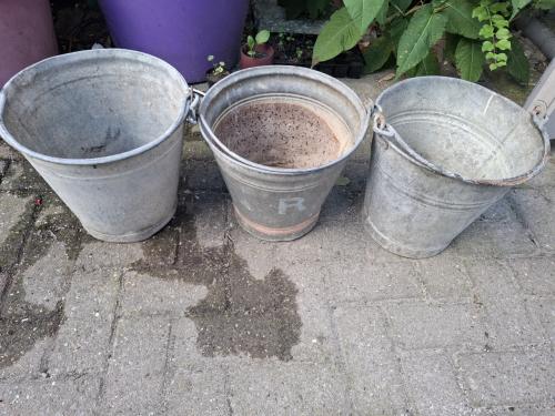 Zinken emmers om planten in te zetten.