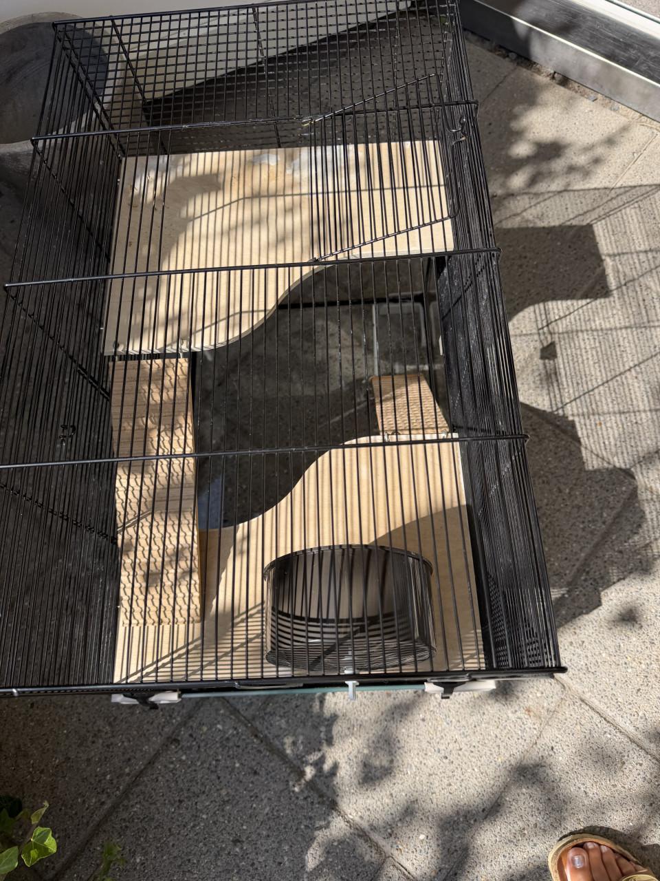 Hamsterkooi