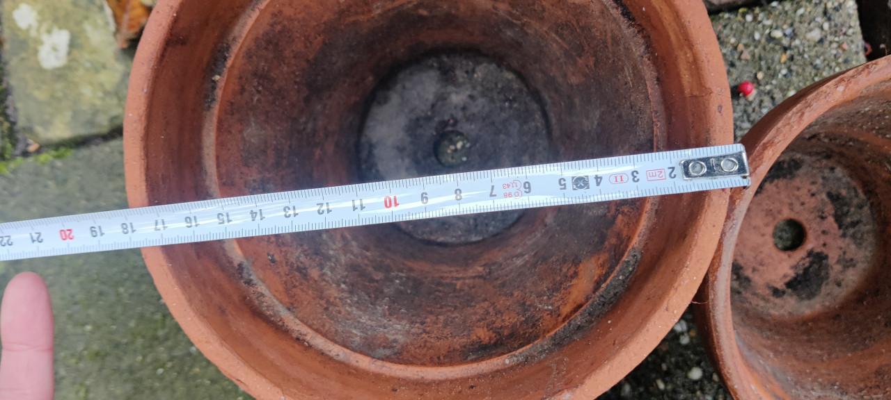 Bloempotten terracotta