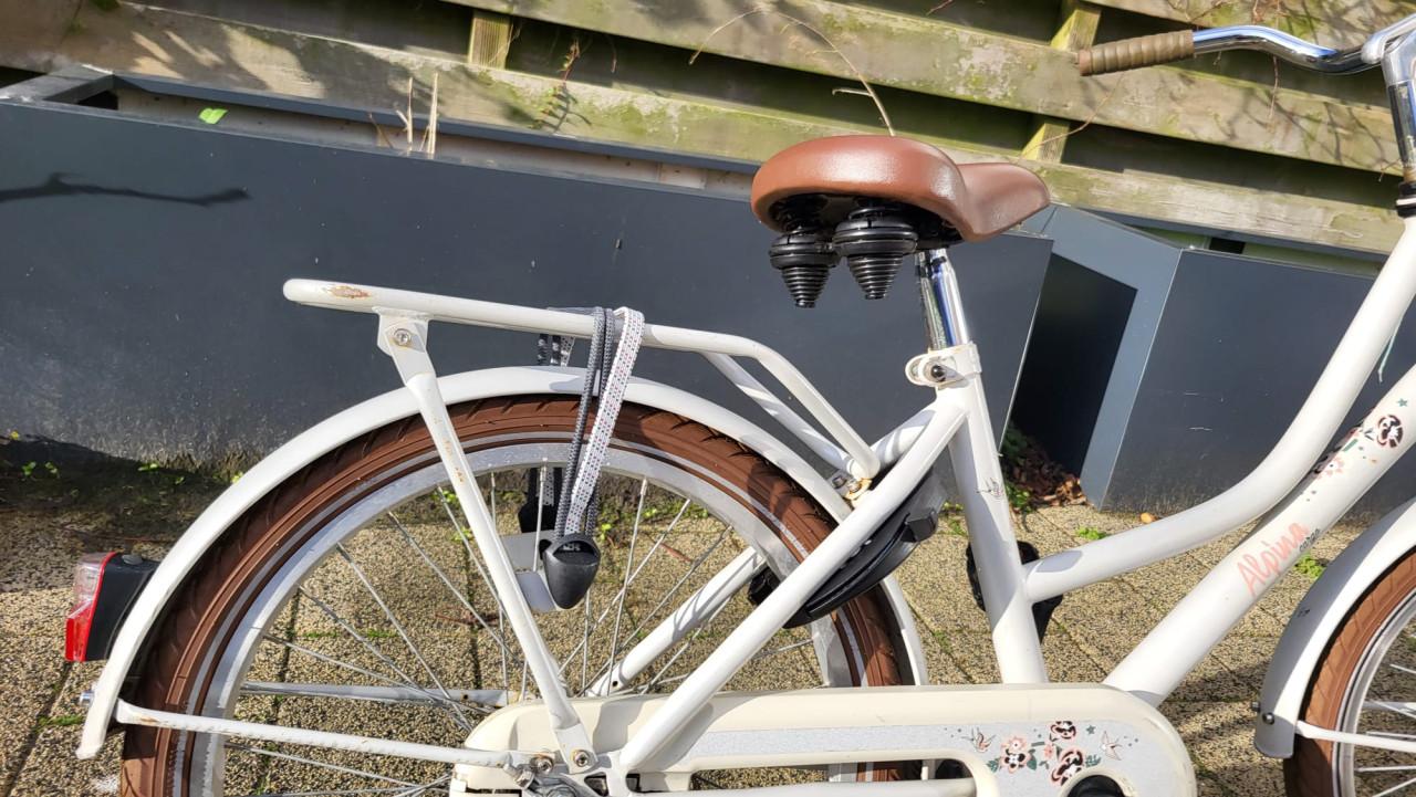Meisjesfiets Alpina 20 inch met terugtrap rem en handrem voor