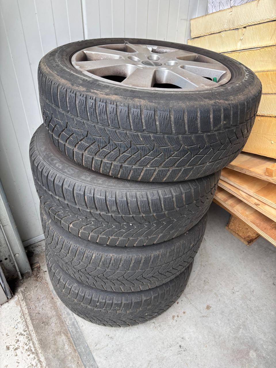 Borbet velgen met Dunlop Winter Sport banden 205/55R16