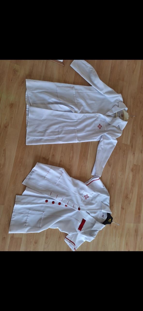 Carnavalskleding of themafeestkleding