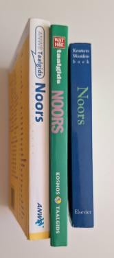 Woordenboek-taalgids Noors