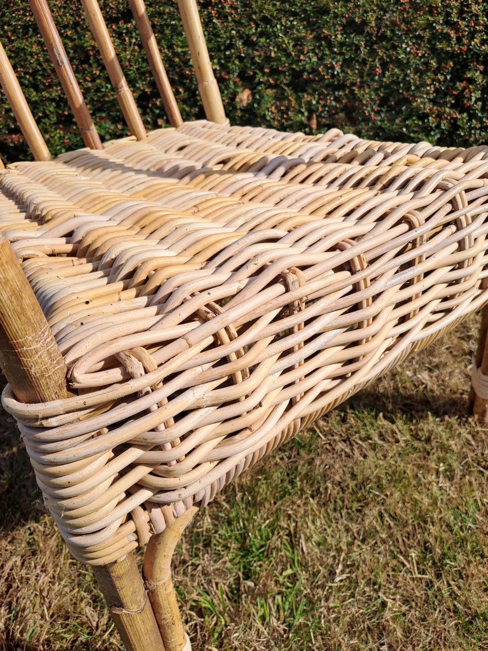 Rotan