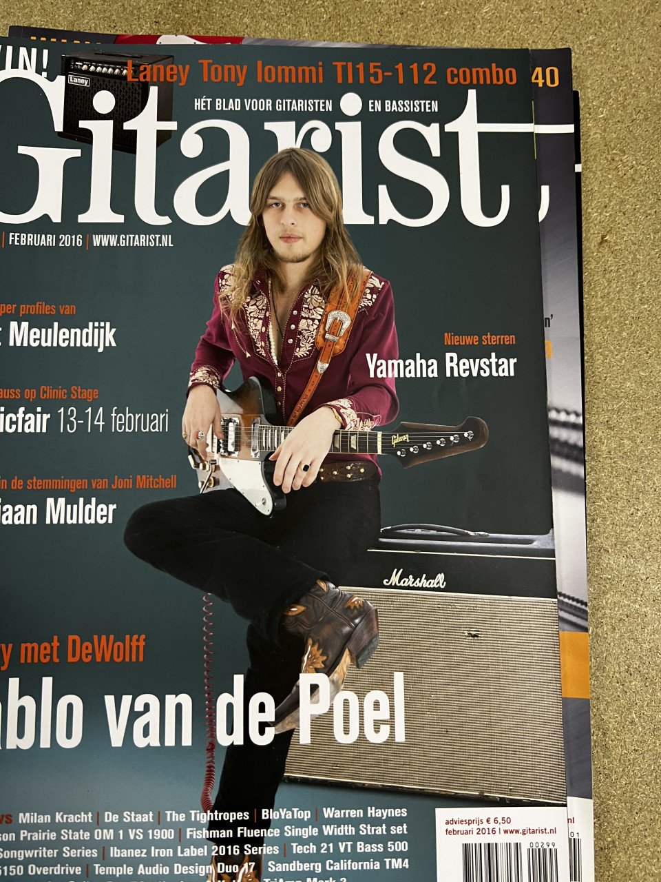 De gitarist