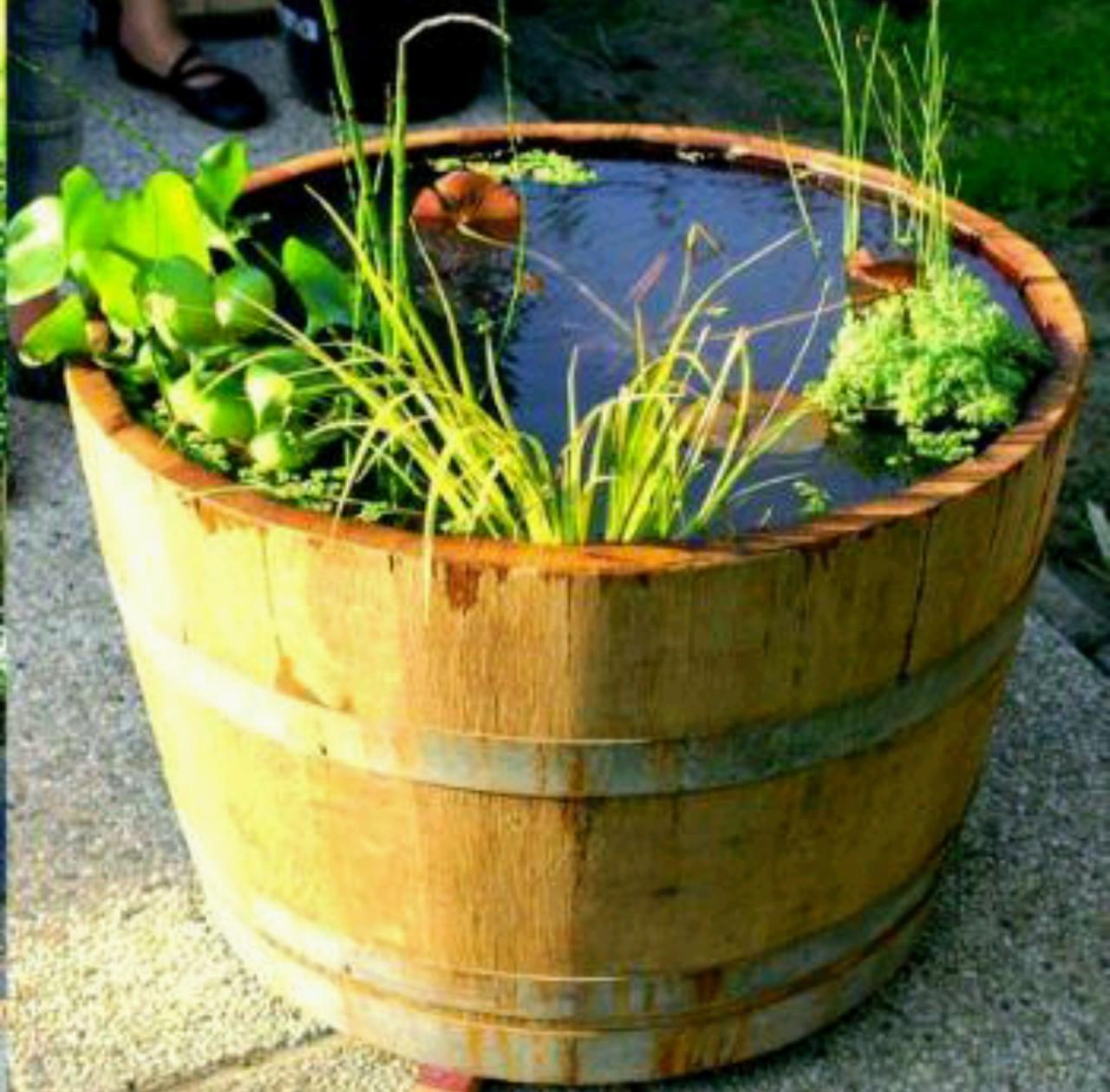 Drinkbak voor paard, geit, schaap, eikenhout