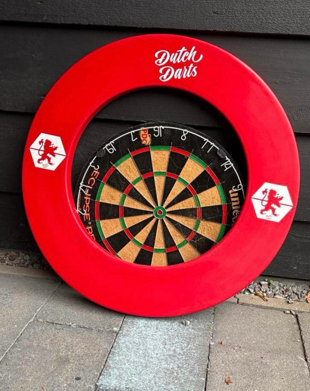 Dartbord inclusief bescherming rand