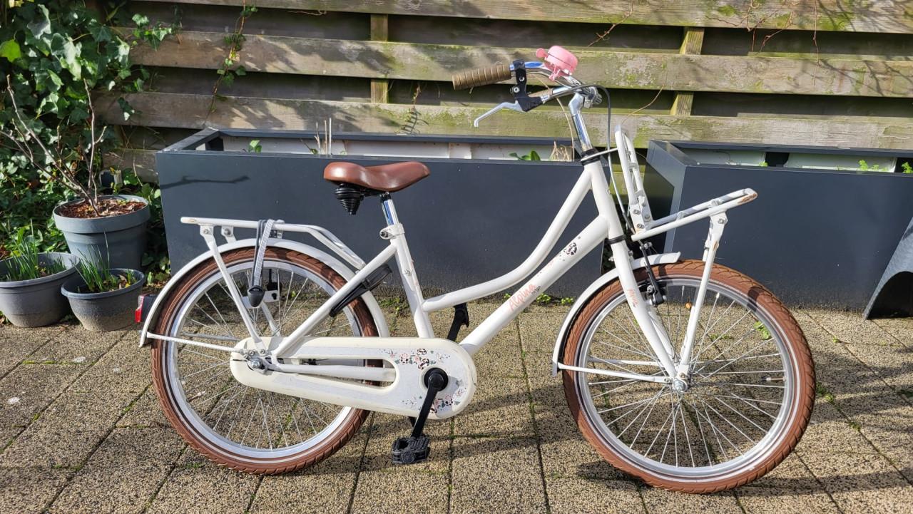 Meisjesfiets Alpina 20 inch met terugtrap rem en handrem voor