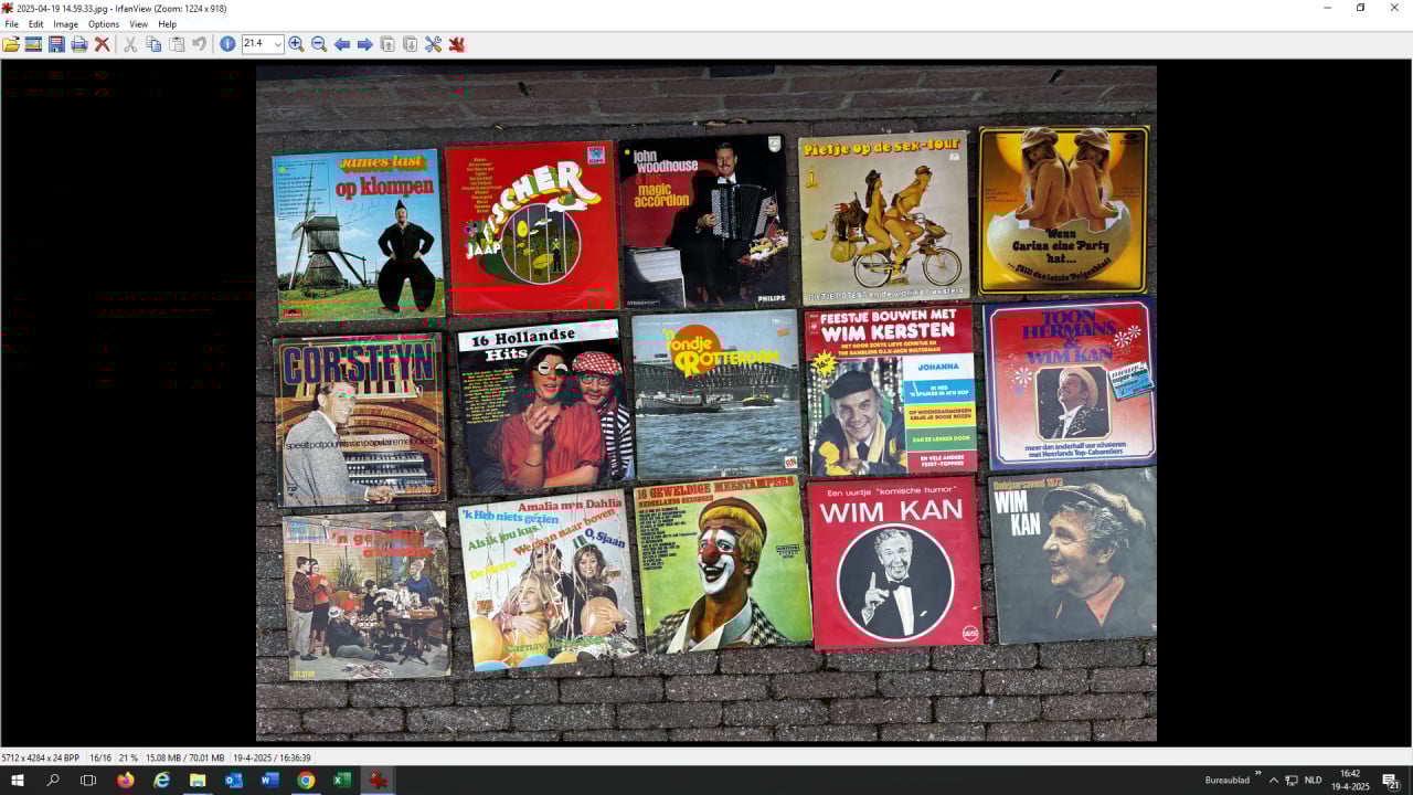 15 Nederlandstalige LP's