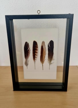 Zwarte houten fotolijst met dubbele glasplaten, 21x16 cm