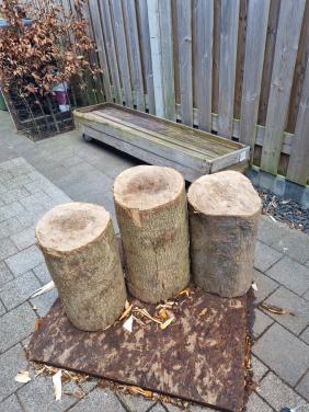 3 Blokken Essen (Hakblok / decoratie)