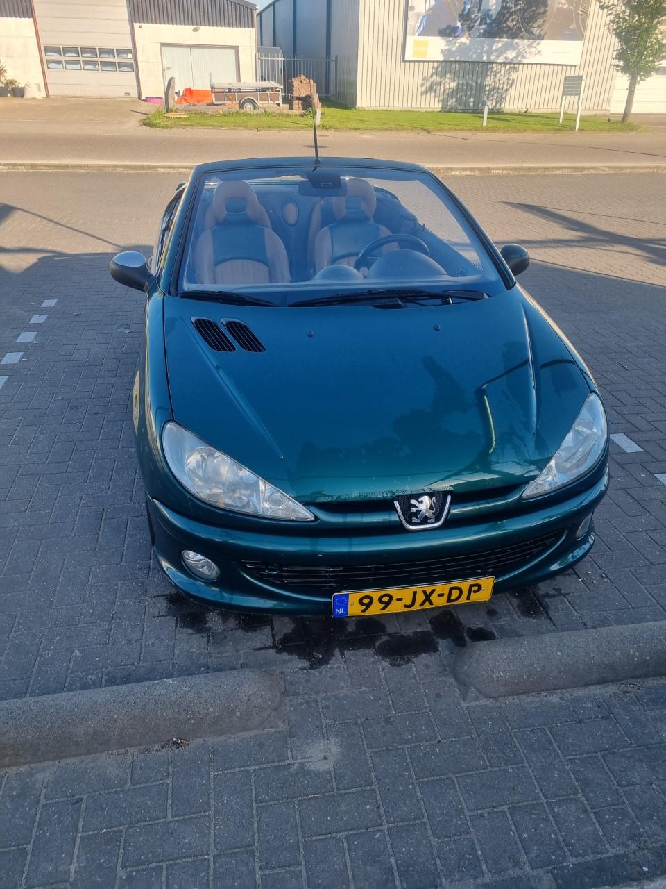 Peugot 206 CC Roland Garros