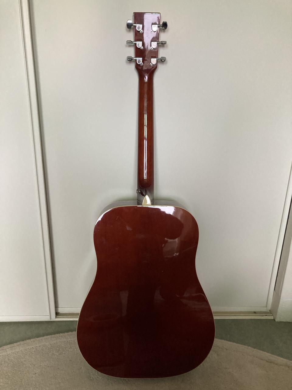 Phoenix 001 western gitaar