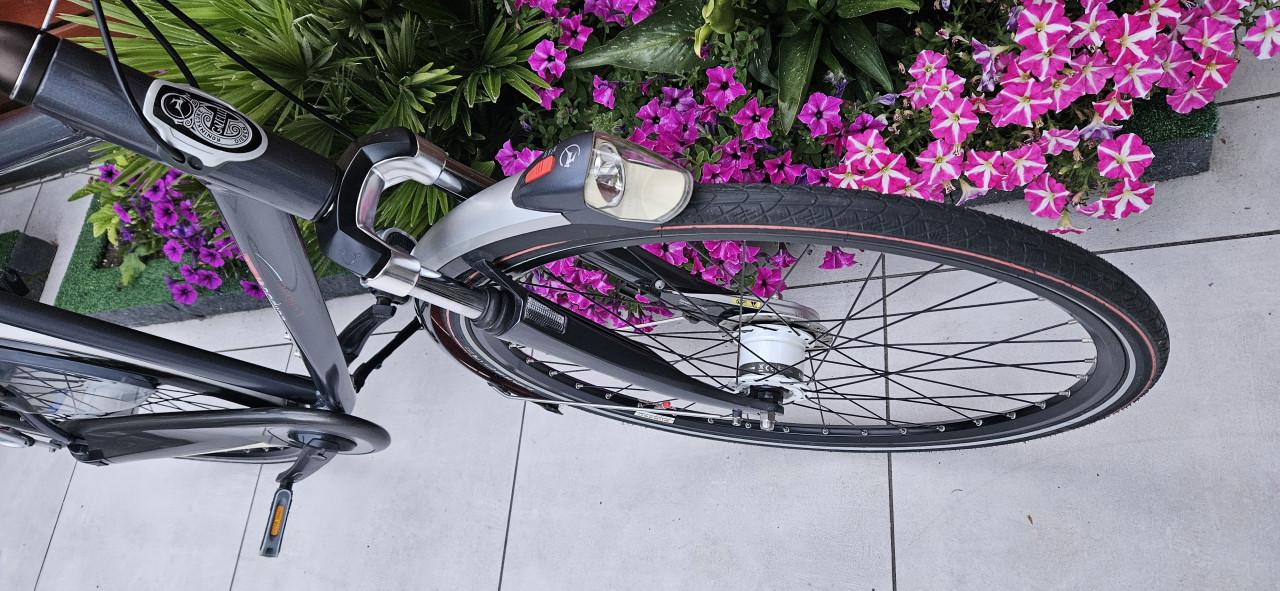 Gazelle Eclipse Limited 65 cm Herenfiets