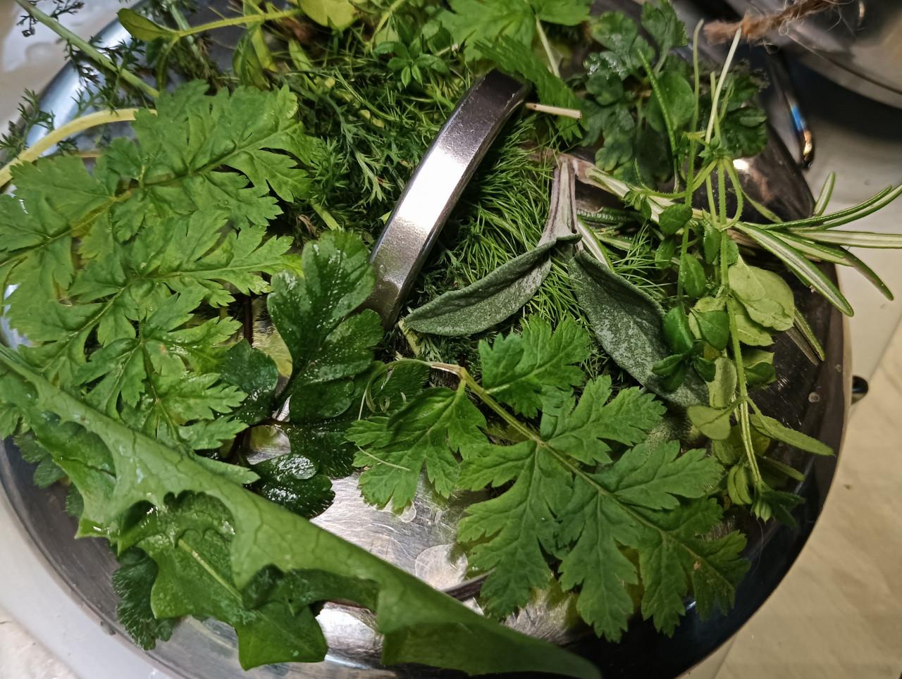 Wildplukwinterwandeling