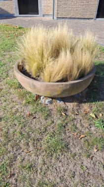 Plantenbak/schaal