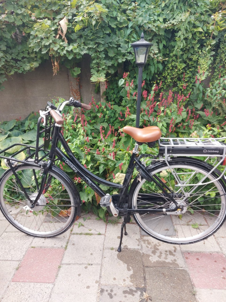 Electrische fiets