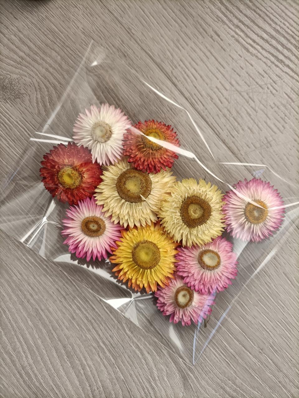 Strobloem knoppen 10st €0,50