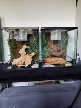 3 Terrariums te koop