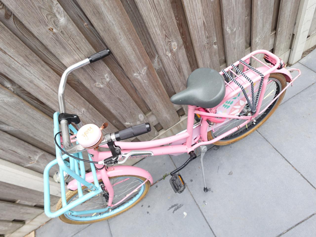 🚲 Popal Meisjesfiets – 22 inch – Transportmodel – Roze