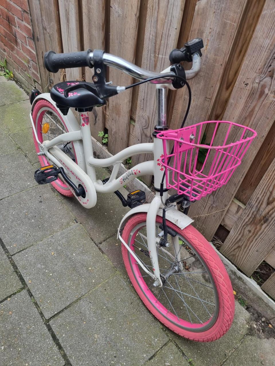 Mooie Meisjesfiets 20 inch ALPINA
