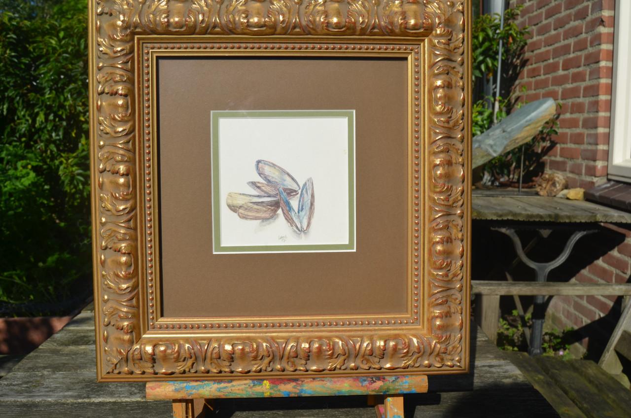Aquarel 'Mosselschelpen' Hans Hohmann 2007