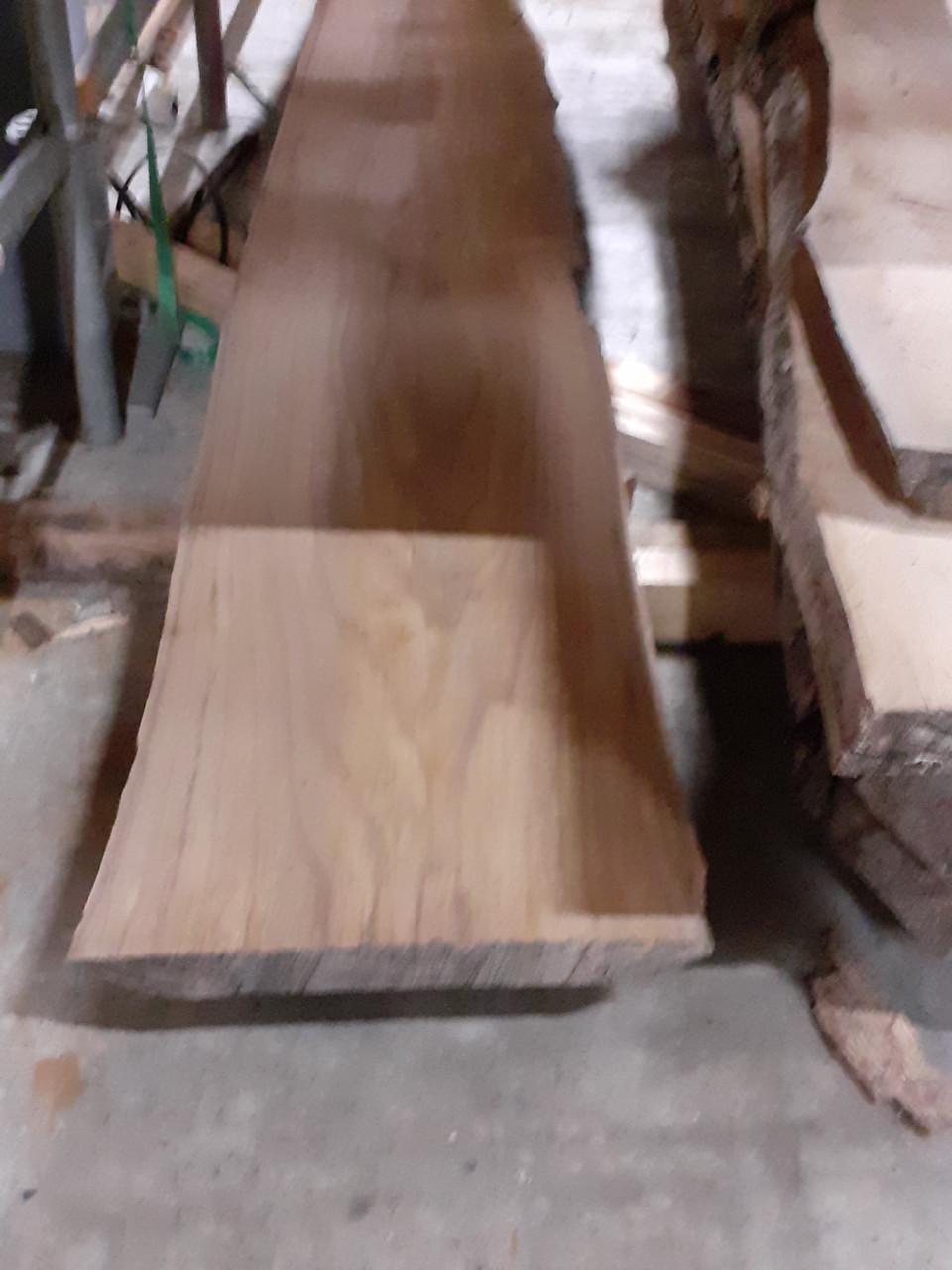 300 cm x 40 x 5 lang essen boomstamblad v 40 euro