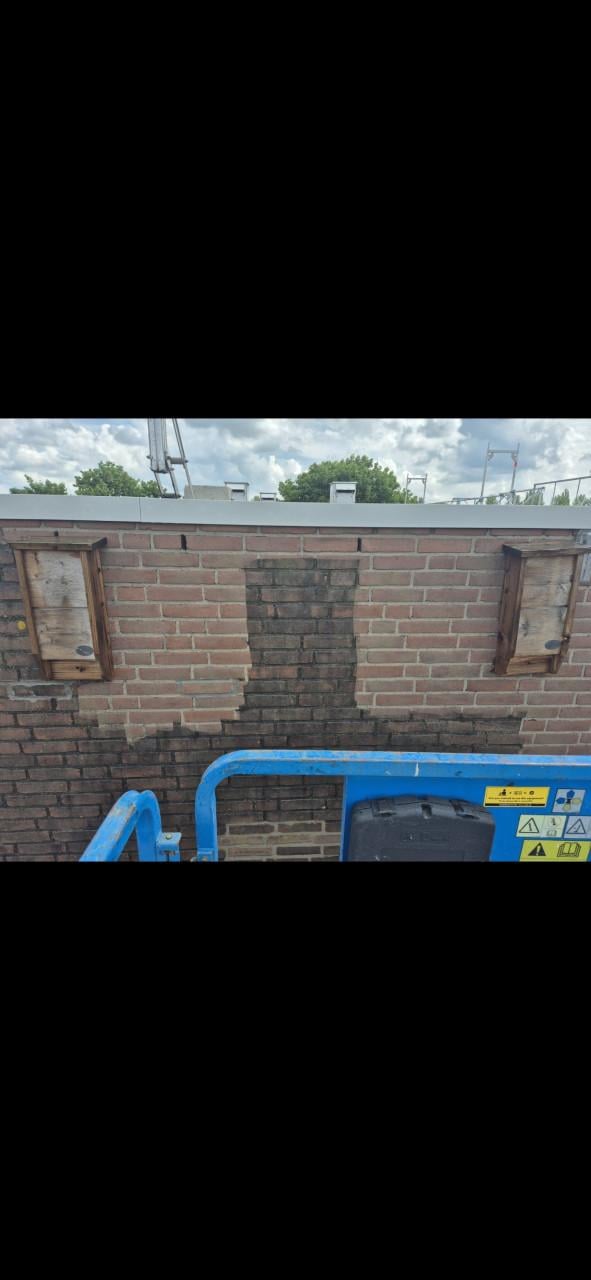 Hogedruk reinigen/schoonmaak tuin/gevel/erven/ straten en meer