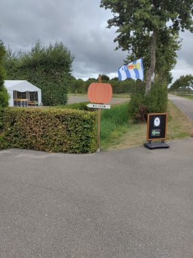 Pompoenen en kalebassen