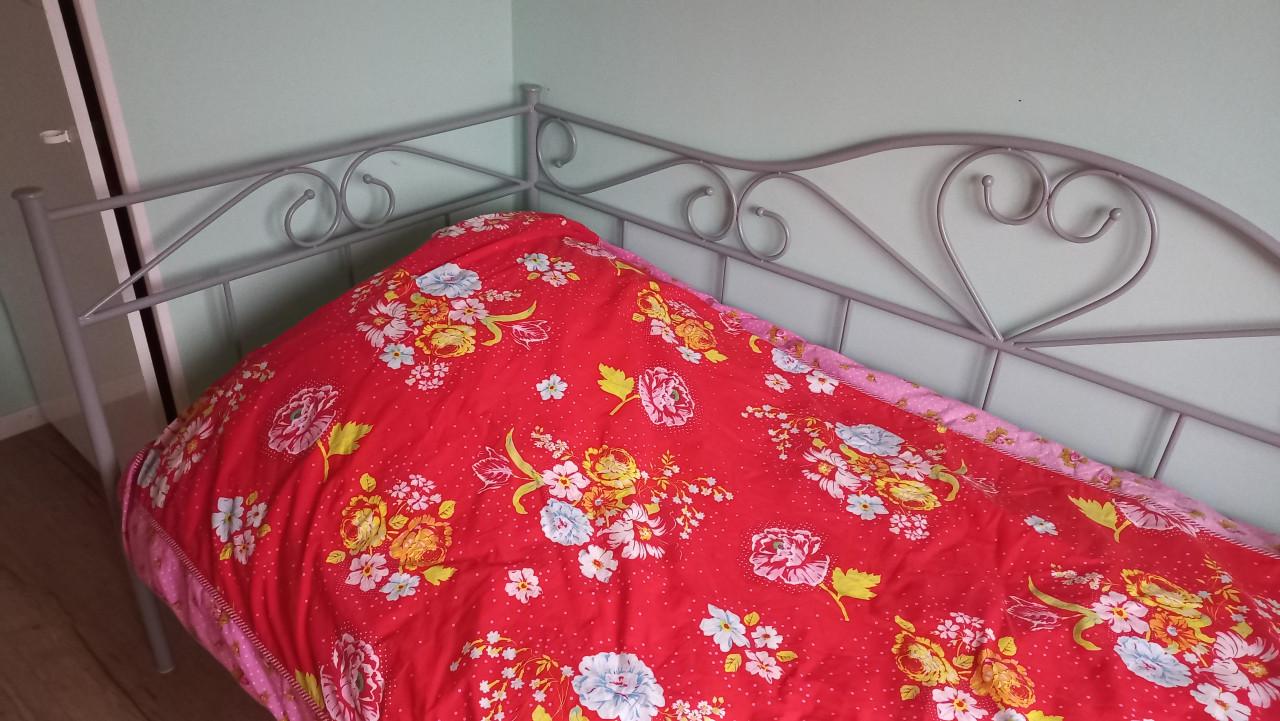 Eenpersoons bed staal grijs