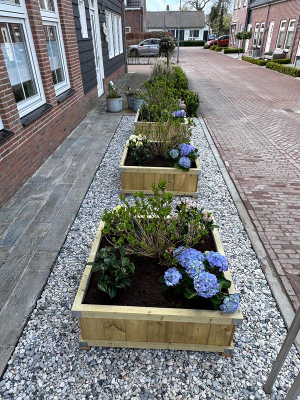 Zeeuwse knop bloembakken projecten ter inspiraties L100 x B100 x H40