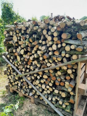 Perenhout. VERS- NET GEZAAGD.