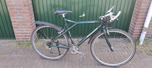 Gazelle torrente oversize