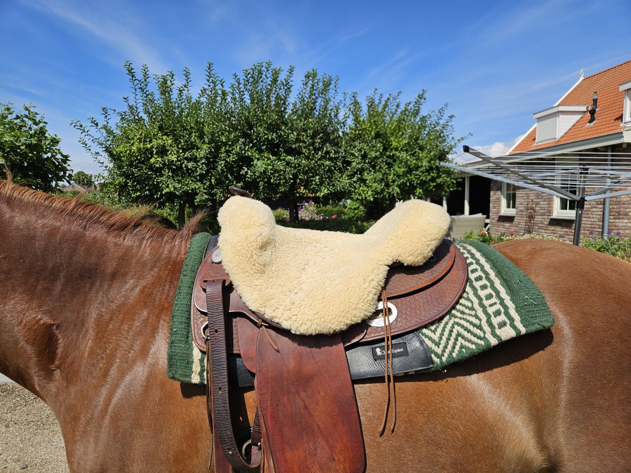 Westernzadel Western Imports