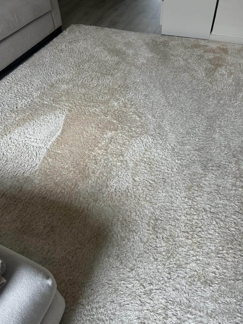 Hoogpolig Vloerkleed