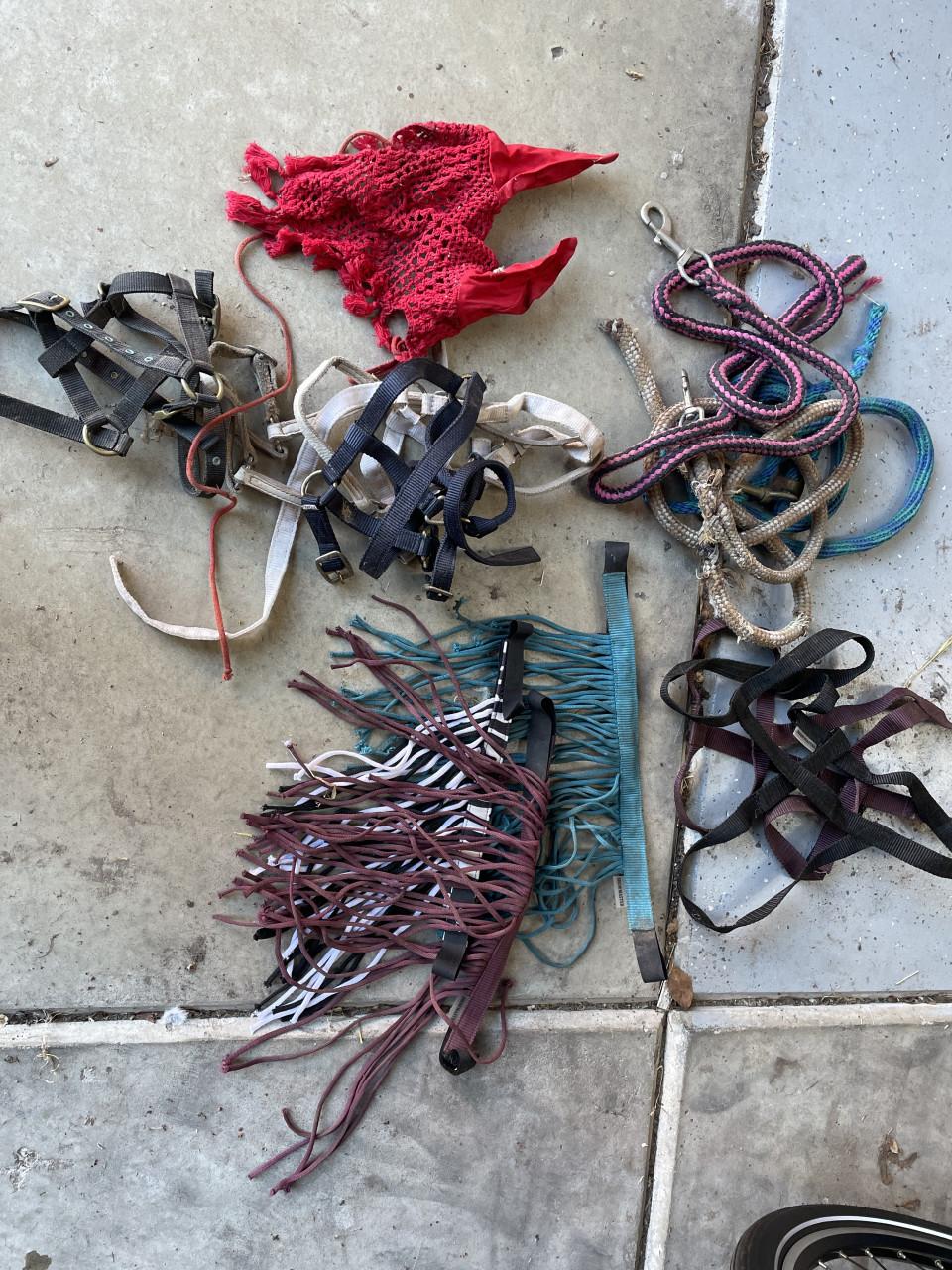 (veulen)halsters, weidehalsters, vliegenmaskers enz
