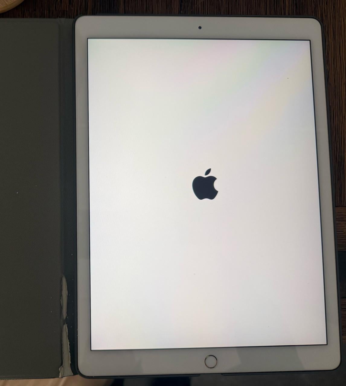Grote ipad pro 256 geheugen