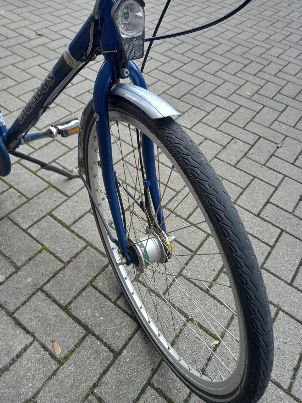BATAVUS HERENFIETS