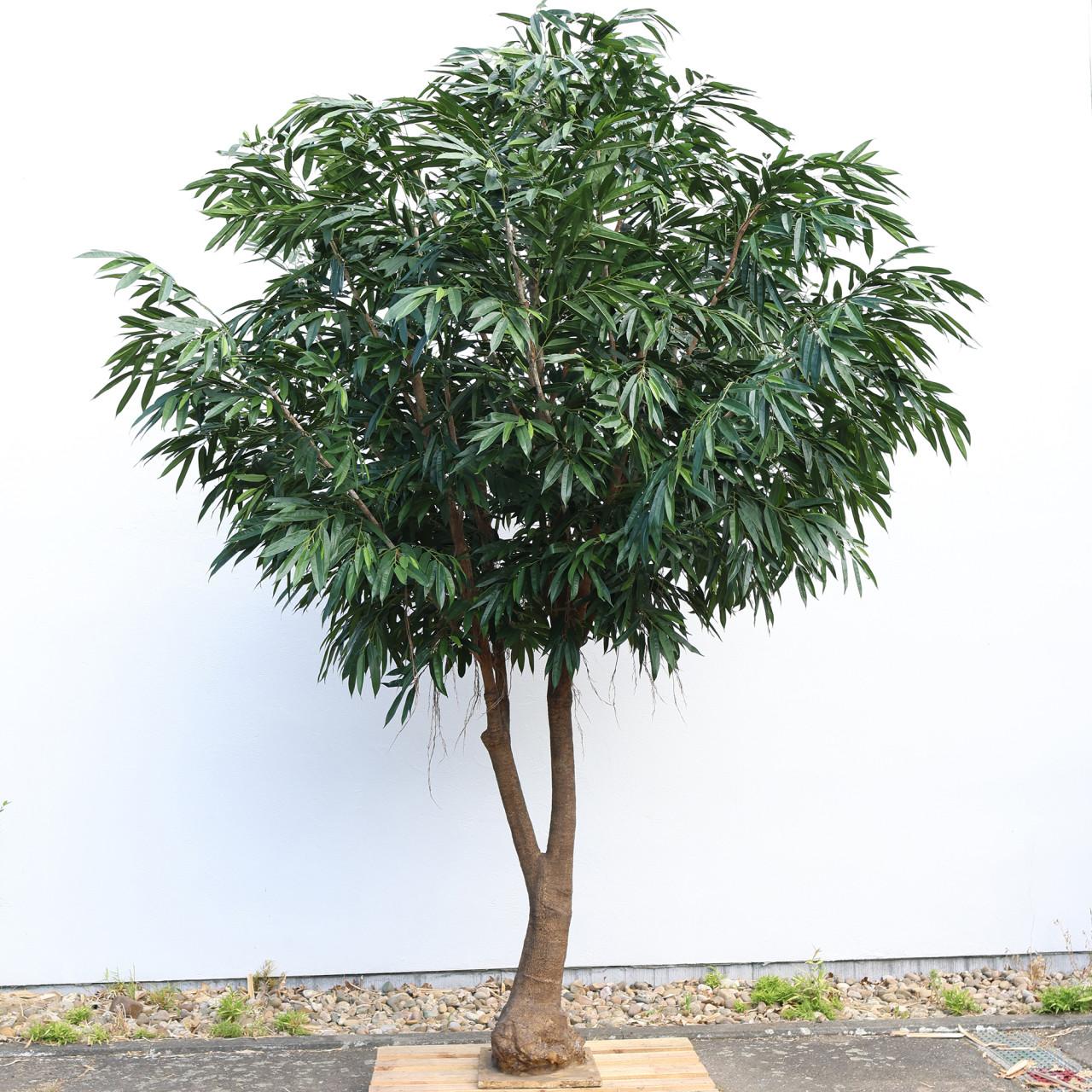 ZIJDE KUNSTPLANTEN BOMEN EN BLOEMEN