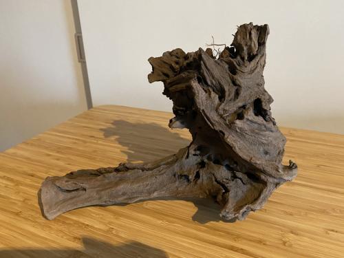 Mangrove hout voor in aquarium