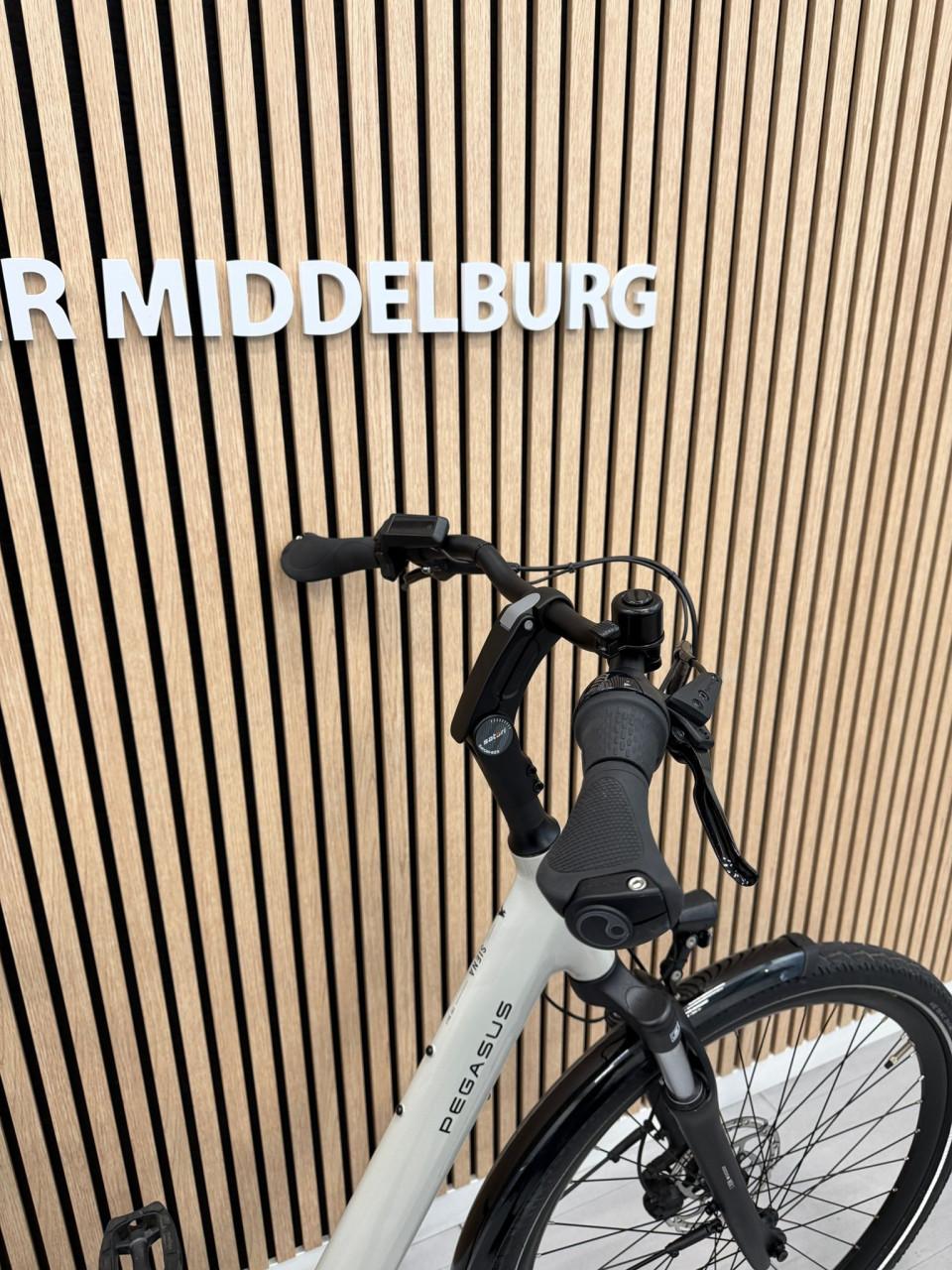 Pegasus Siena E8F Bosch Active Line Plus 306KM 55CM 400Wh Belt