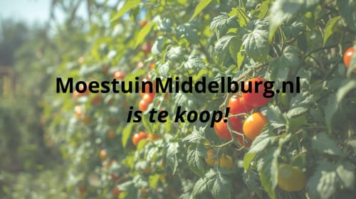 MoestuinMiddelburg.nl is te koop! [Website/Domeinnaam]