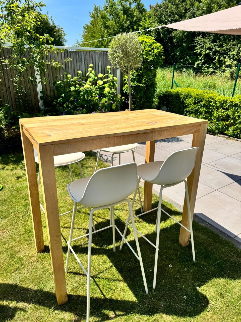 Vida XL Bartafel van mangohout