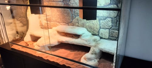 Terrarium 100x40x50 gebruikt reptielen reptiel