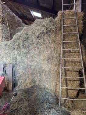 Te koop weide hooi ,kuilbalen en stro