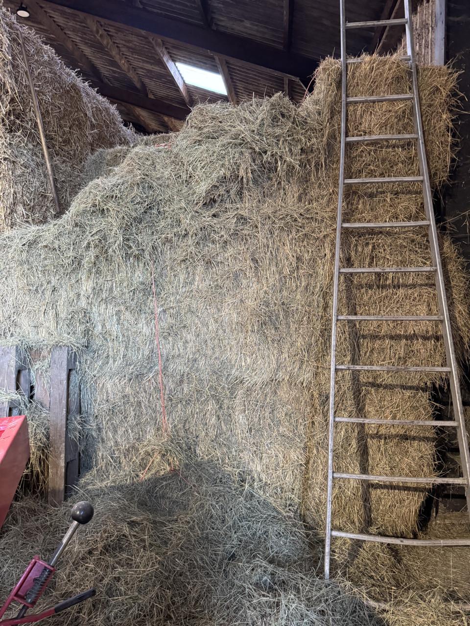 Te koop weide hooi ,kuilbalen en stro